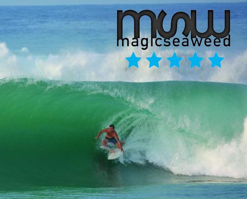 MagicSeaWeed